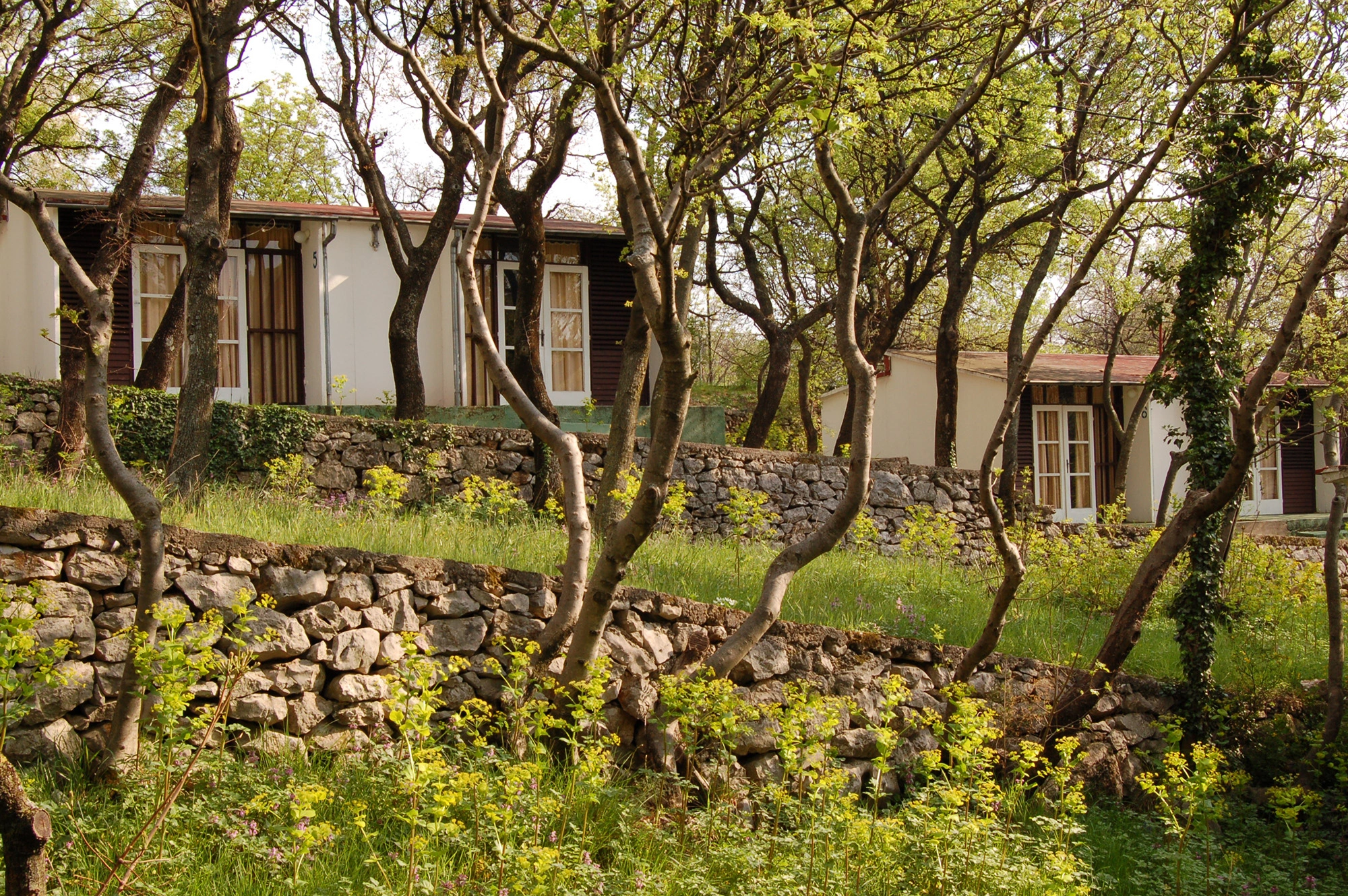 Pastoral lots - 2 