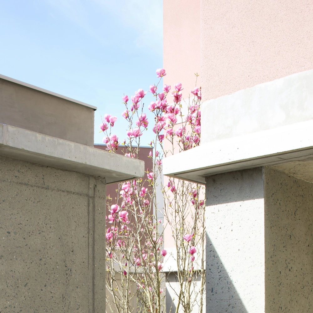 LOGEMENTS COLLECTIFS - ARVOR
