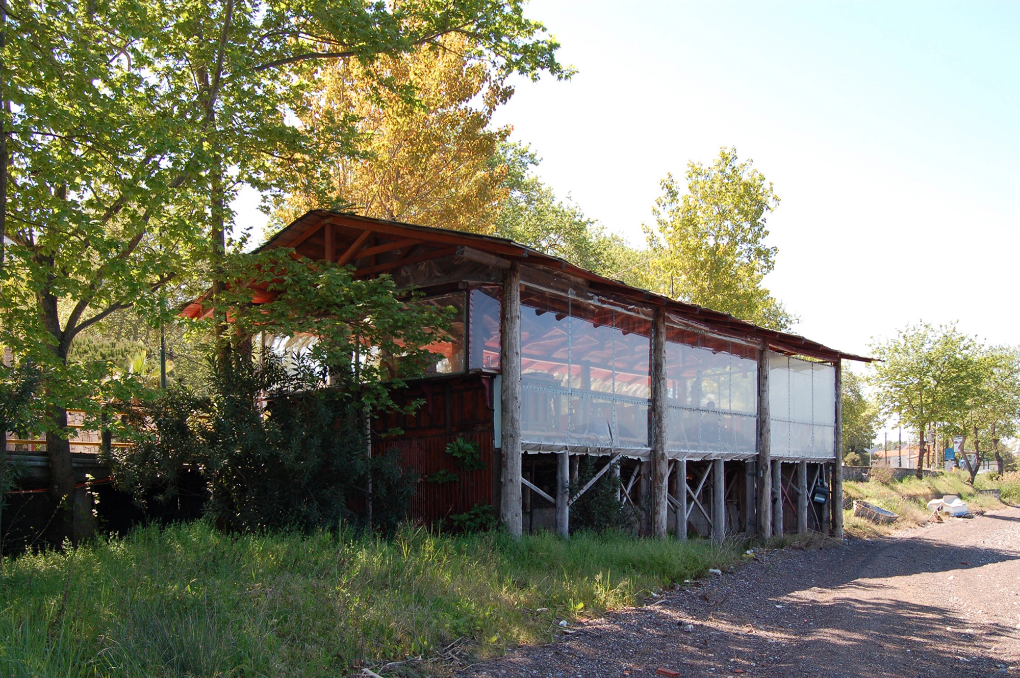 Primitive hut - 1 