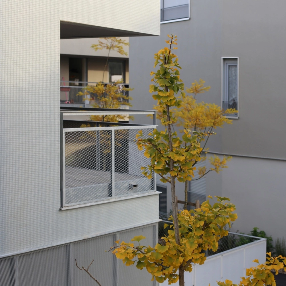 COLLECTIVE HOUSING UNITS - LA PALOMBIERE