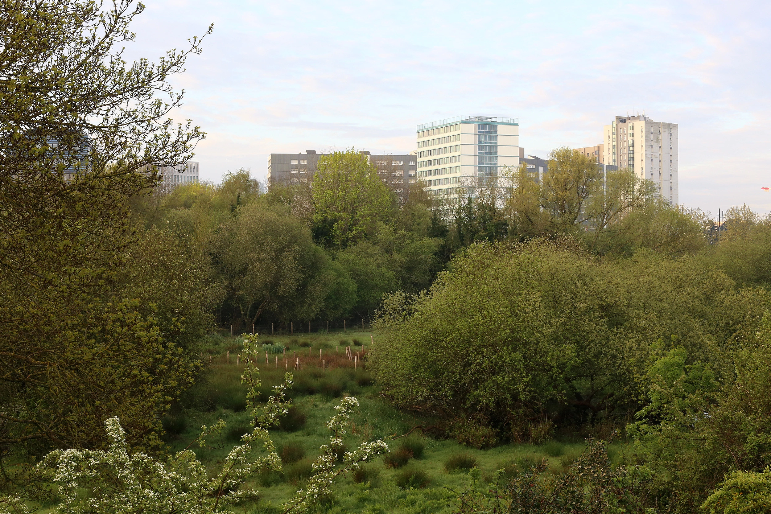 STUDENT RESIDENCE - MALAKOFF